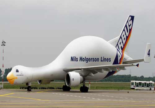 Airbus Swan Plane-Nils Holgerson Lines